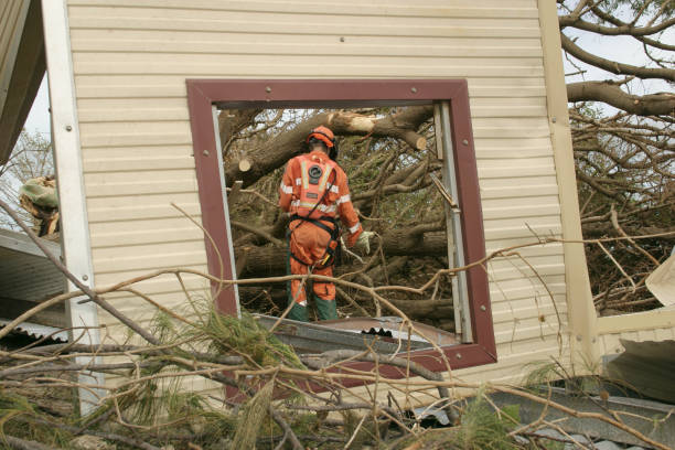 Best Tree Disease Treatment  in Childress, TX