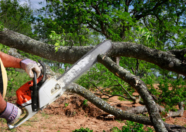 Lawn Grading and Leveling in Childress, TX